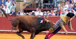 See: Spain's 'King of Bullfighters' Faces Rectal Injury from Goring