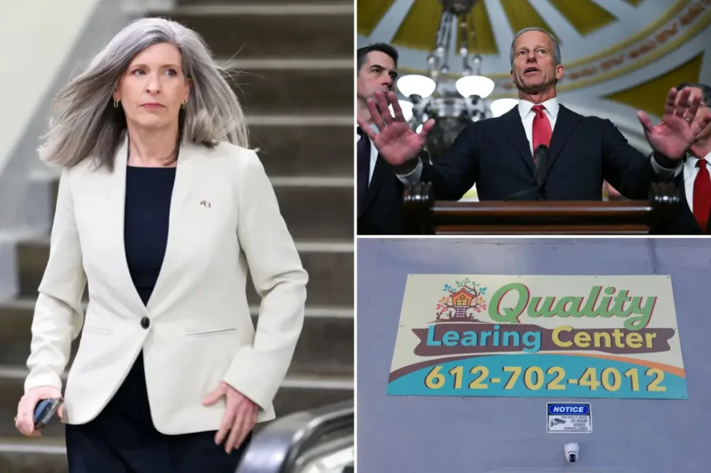 Senate Republicans introduce a series of bills aimed at preventing fraud to save $240 billion.