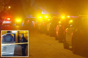 Seventy-year-old woman killed in Hollywood Hills home break-in