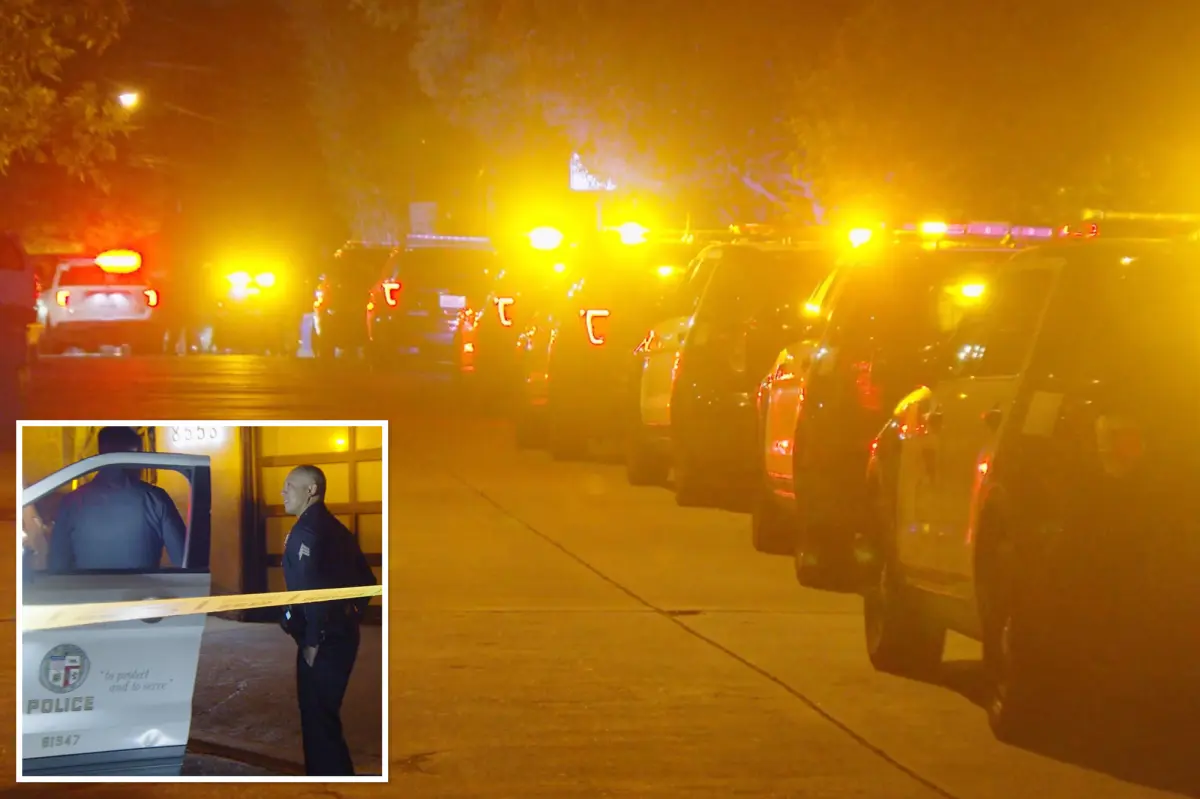 Seventy-year-old woman killed in Hollywood Hills home break-in