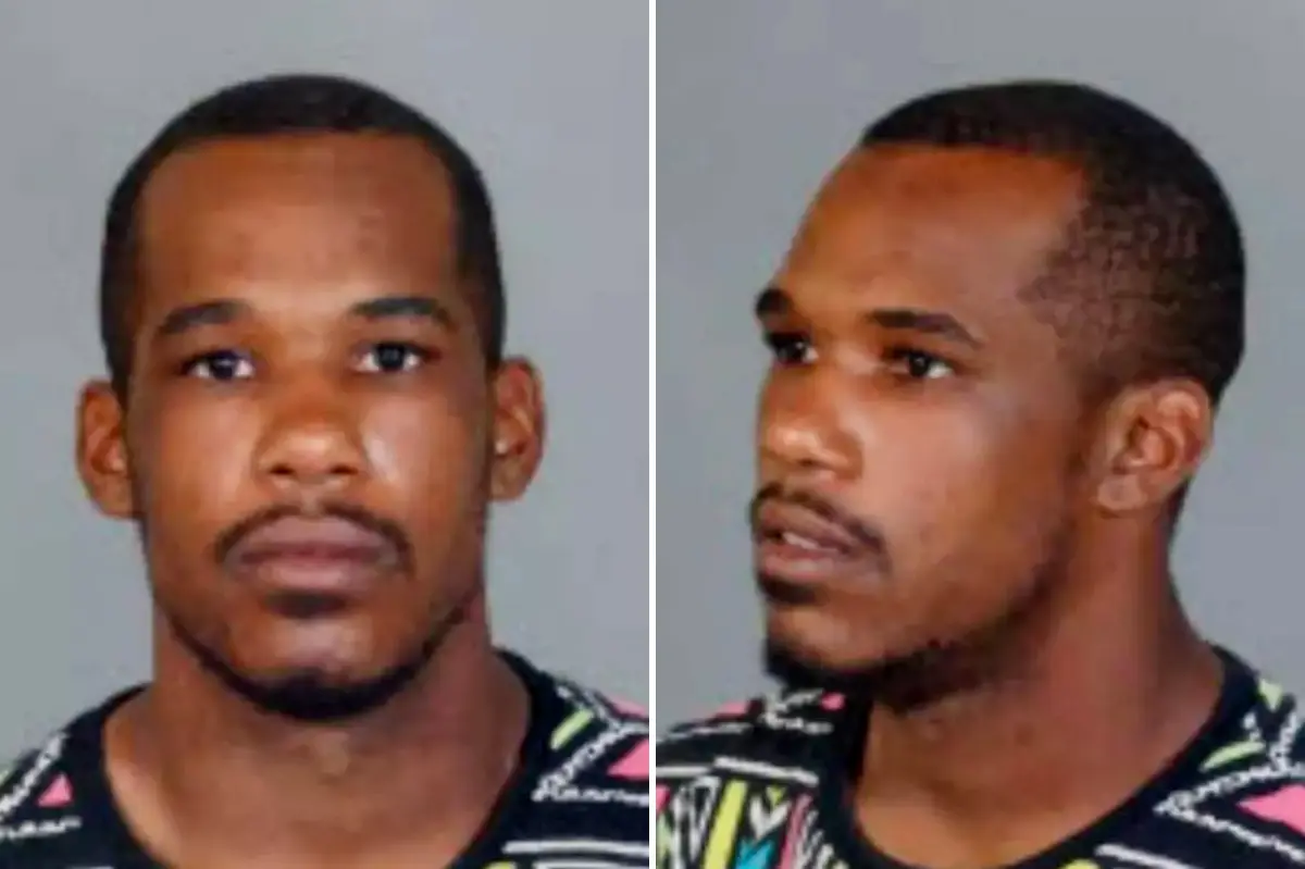 Sex offender surrendered after assaulting multiple women in a six-hour period.