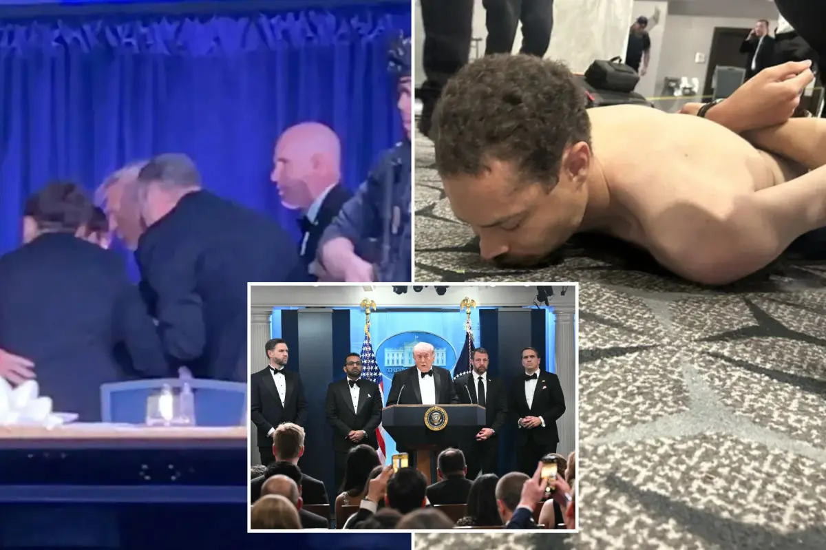 Shooting suspect Cole Allen admits he aimed at Trump officials during White House Correspondents Dinner, according to a report.