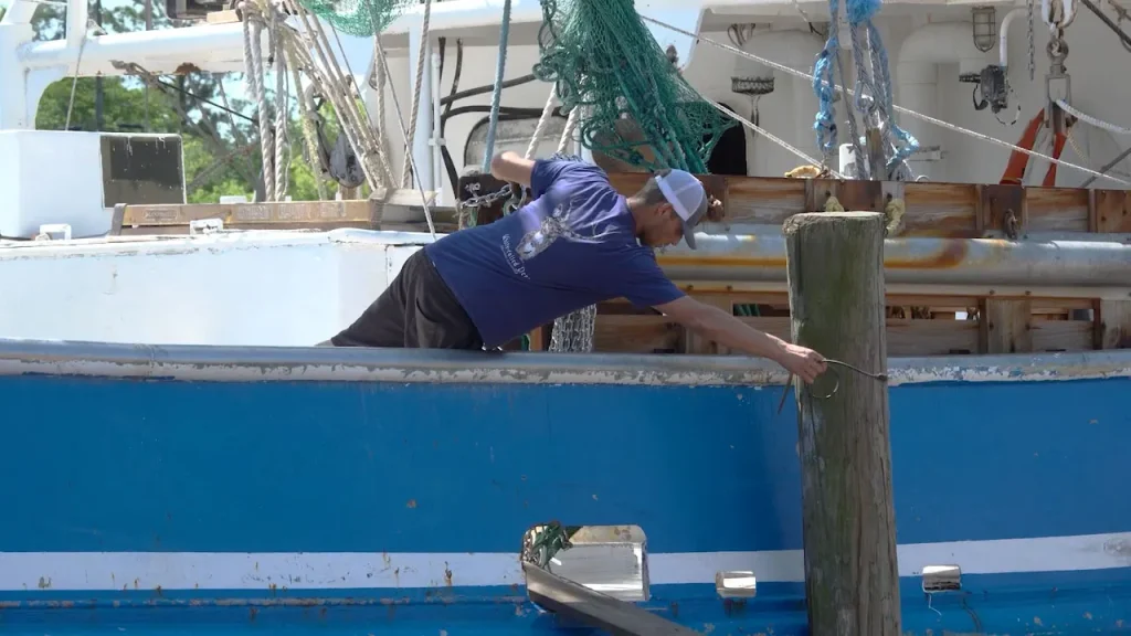 Shrimpers in the US encounter a tough situation due to rising fuel prices and tariff refunds.