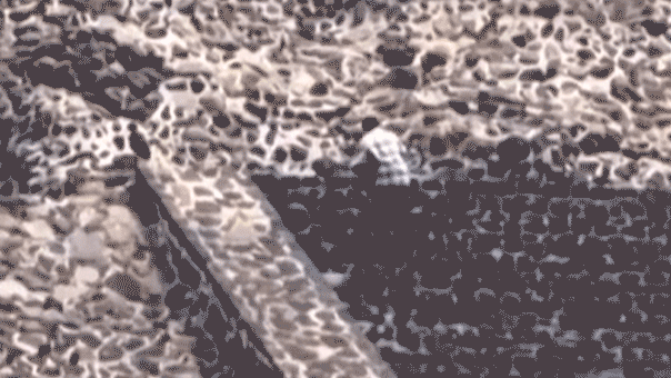 Six Americans hurt in shooting at the Teotihuacán pyramid site in Mexico