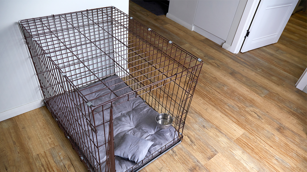 Six children, including a 13-year-old found in a dog crate, saved from a dirty home