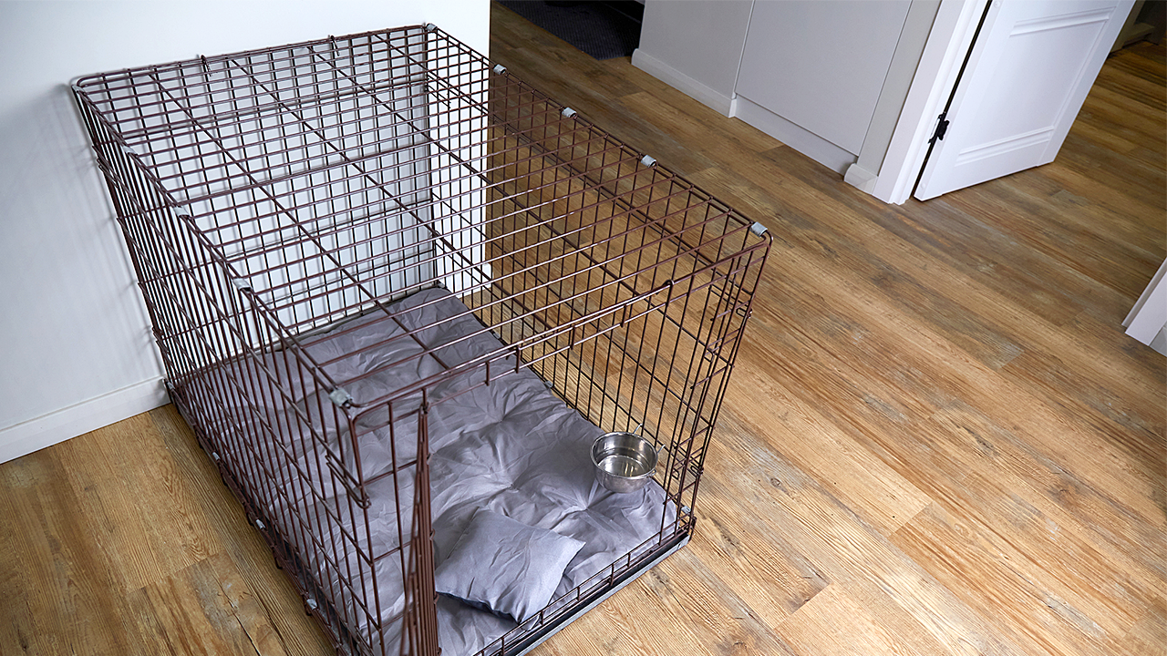 Six children, including a 13-year-old found in a dog crate, saved from a dirty home