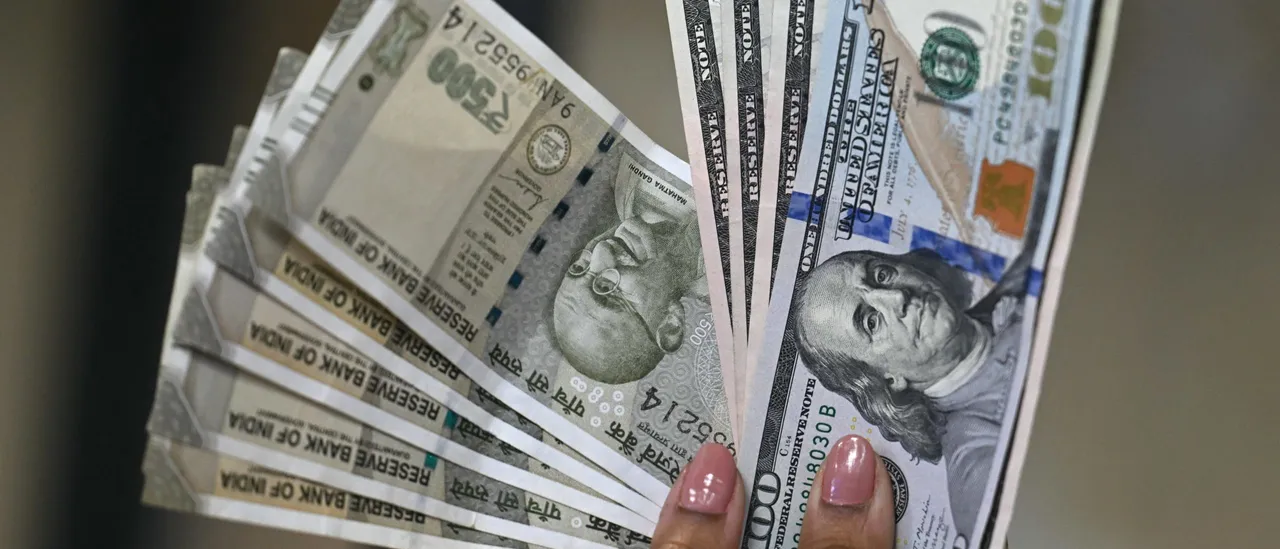 Somali Fraud Is Just a Small Part of the Whole