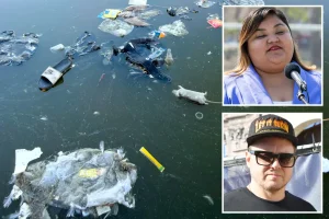 Spencer Pratt criticizes the $40 million plan for MacArthur Park in Los Angeles.