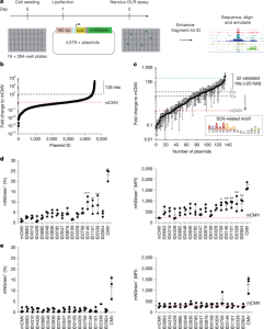 Synthetic super-enhancers allow targeted viral treatment options
