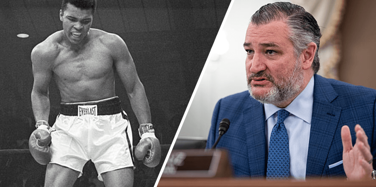 Ted Cruz advocates for a new Muhammad Ali Act, emphasizing the trade-offs that come with change in the quest to unify boxing.