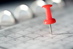 The Top Dividend Stock to Purchase for Steady Monthly Income