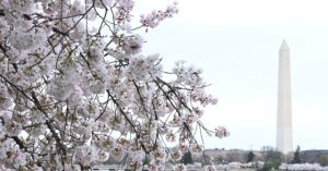 The economy currently requires significantly fewer jobs to remain strong.