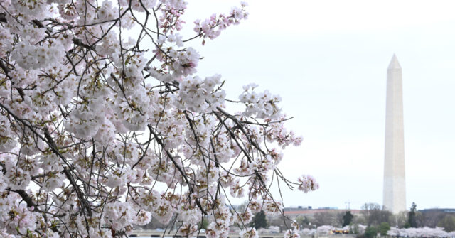 The economy currently requires significantly fewer jobs to remain strong.