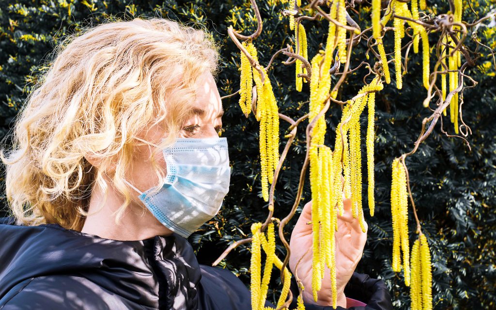 The pollen allergy season is extending each year because of city lights.