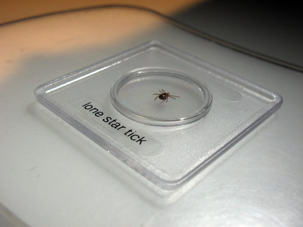 Ticks linked to a rare and serious allergy to red meat are on the rise. What steps can you take to protect yourself?