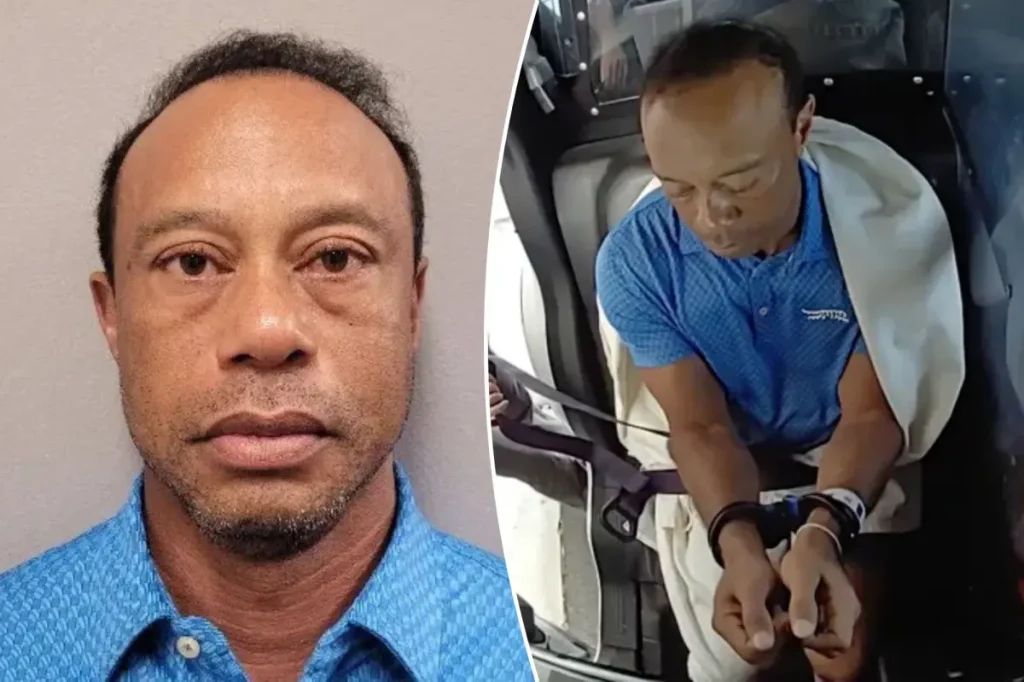 Tiger Woods' private plane arrives in Switzerland following DUI arrest