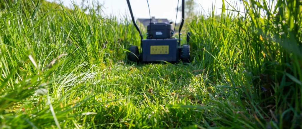 TikTok User Exposes New Sign of White Supremacy and You May Be Involved