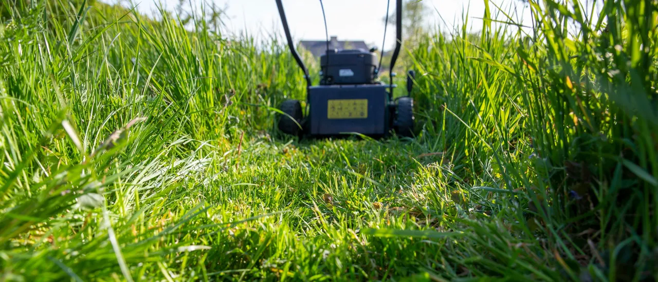 TikTok User Exposes New Sign of White Supremacy and You May Be Involved