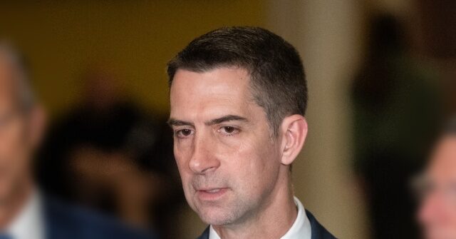 Tom Cotton Criticizes U Visa Program as 'Effective Amnesty' for Undocumented Immigrants