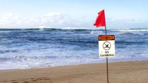 Tourists in Hawaii Are Currently Swimming in Polluted Water