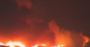 Trump Investigating How Insurance Companies Manage LA Fire Claims