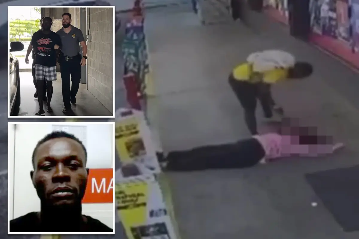 Trump holds Biden responsible for permitting Haitian migrant accused of attacking Florida to enter the US.