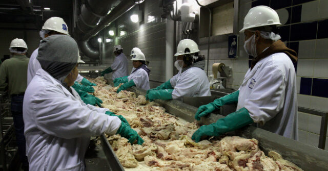Trump's Immigration Policies Drive Up Wages in the Meatpacking Industry