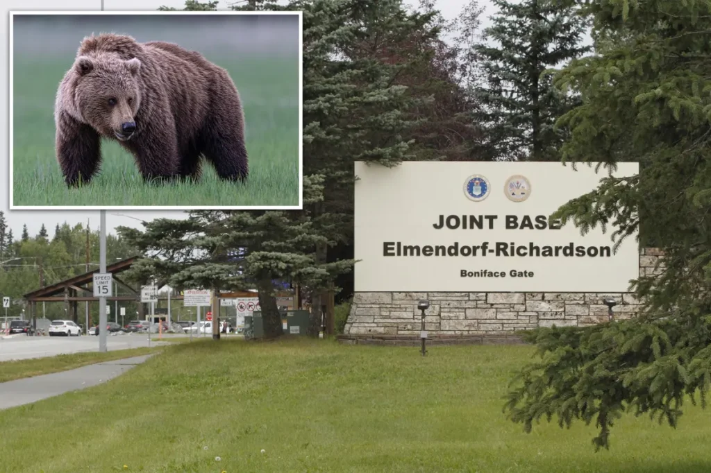 Two Alaskan soldiers hurt in encounter with a brown bear while training