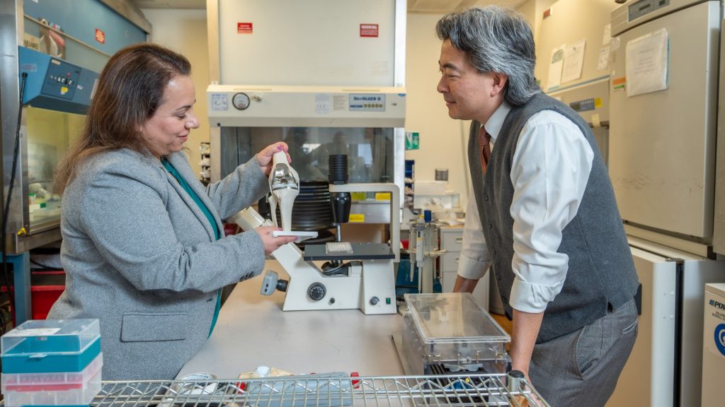 "Ultimately, it becomes part of you": Creators of innovative 'living' knee replacement explain the urgent need for this technology and its functionality