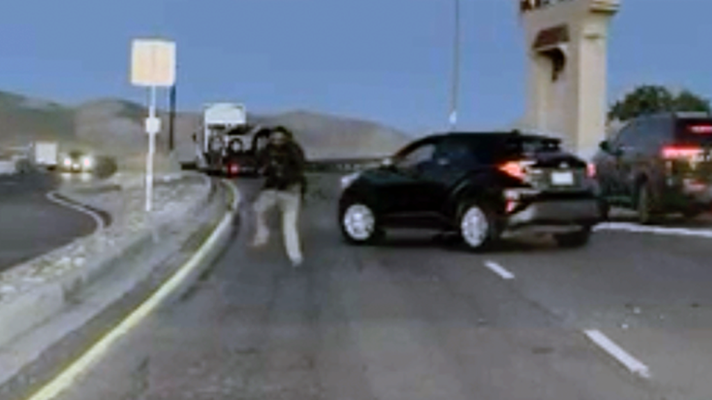 Undocumented immigrant shot by ICE after reportedly attempting to hit an officer.