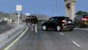 Undocumented immigrant shot by ICE after reportedly attempting to hit an officer.