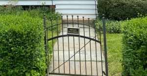 Video: 75-Year-Old Grandmother in New York Assaulted for Requesting Dog Walker to Clean Up After Her Pet