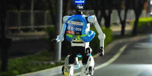 Video: What is a Chinese robot doing chasing wild boars in Poland?