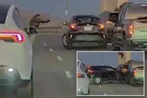 Video from a dashcam shows a suspected gang member entering traffic during an ICE shooting.