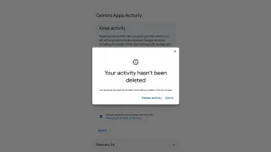 Ways to prevent AI assistants from gathering and saving your personal information