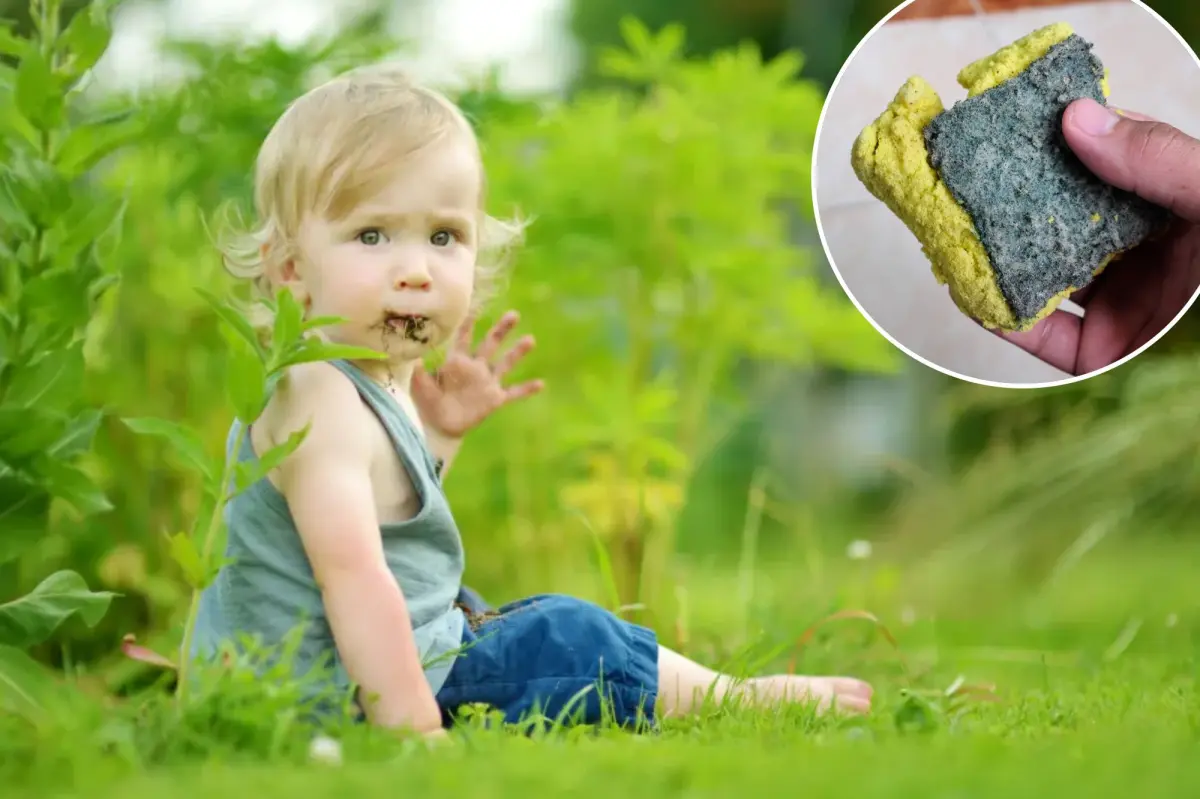 We address pica — these are the most unusual things that people consume