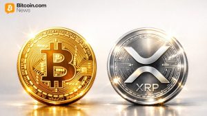 When Cryptocurrency Surpasses Stablecoins: Ripple's Schwartz Prefers XRP or BTC Over USD for Restricted Funds