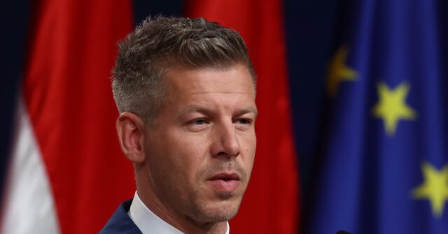 Who is Péter Magyar and Why Are Obama and Clinton Enthusiastic About Him?