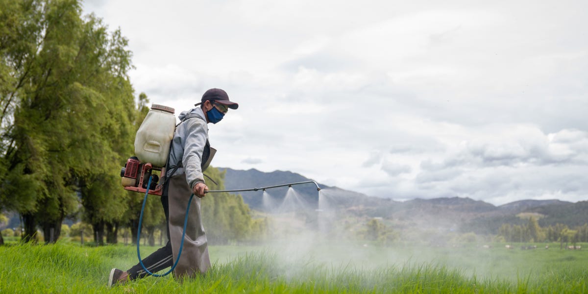 Why Are Young People Developing Colon Cancer? A Possible Connection to Weed Killer