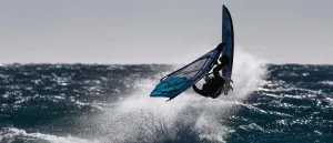 Windsurfer Thrown Into the Air After Colliding with Whale in San Francisco Bay