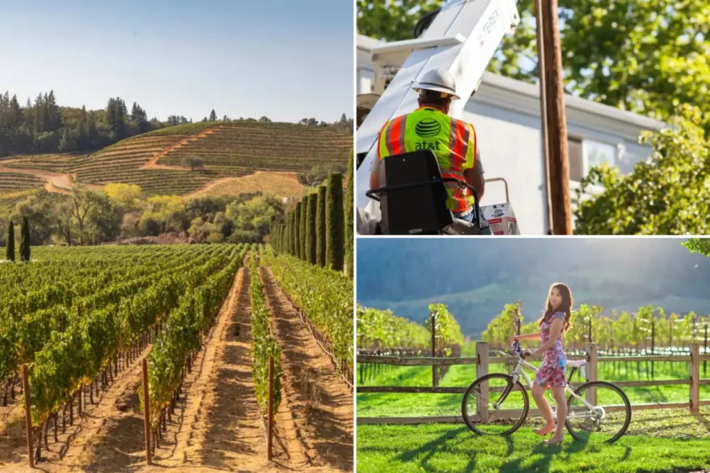Wine Country isolated from the rest of America following a series of bold copper wire thefts
