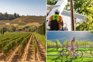 Wine Country isolated from the rest of America following a series of bold copper wire thefts