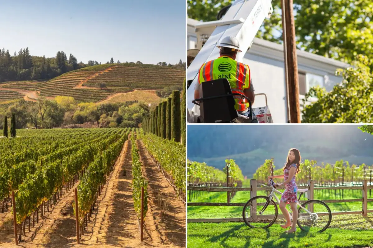 Wine Country isolated from the rest of America following a series of bold copper wire thefts