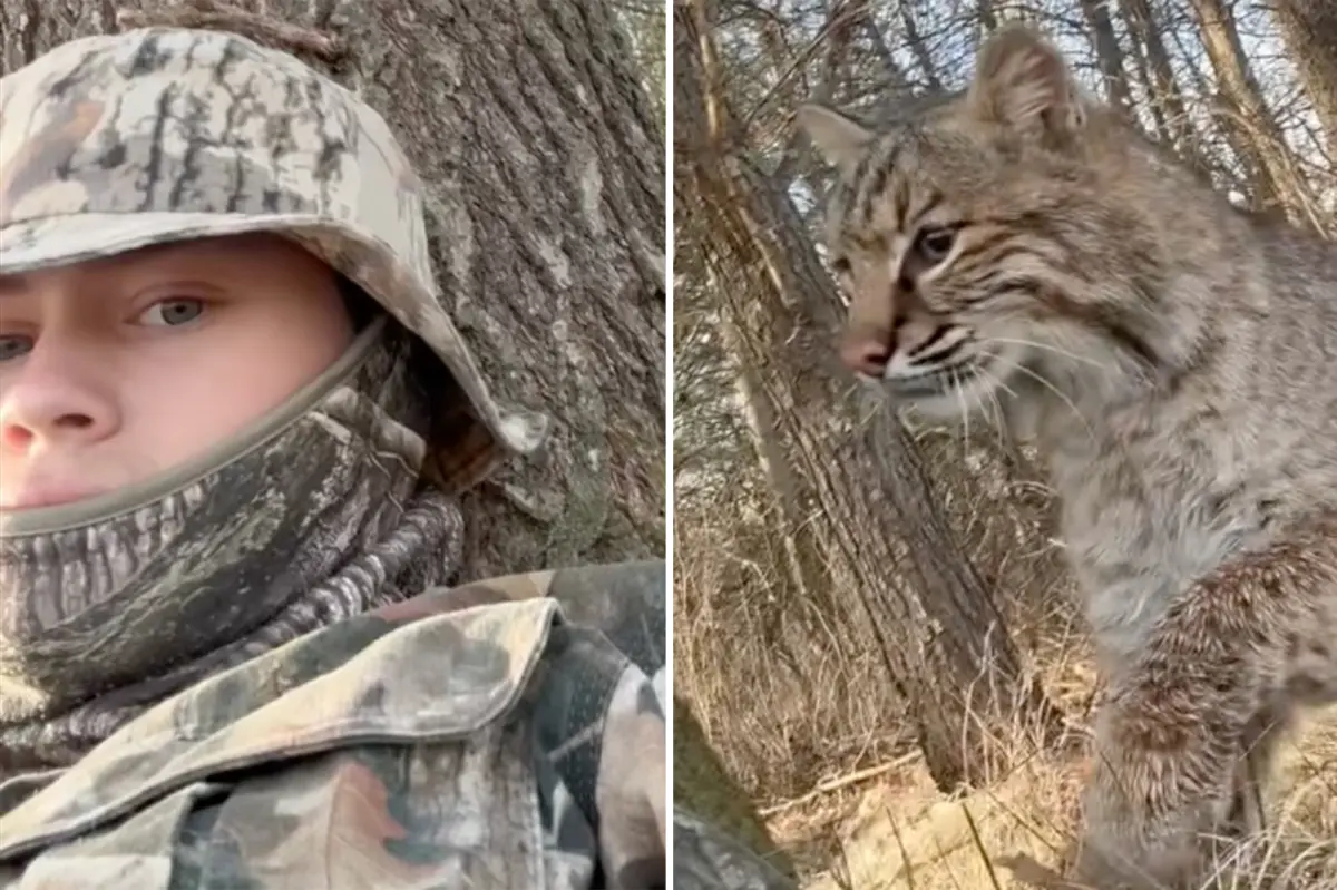 Wisconsin teenager Carson Bender attacked by bobcat while turkey hunting in shocking viral video