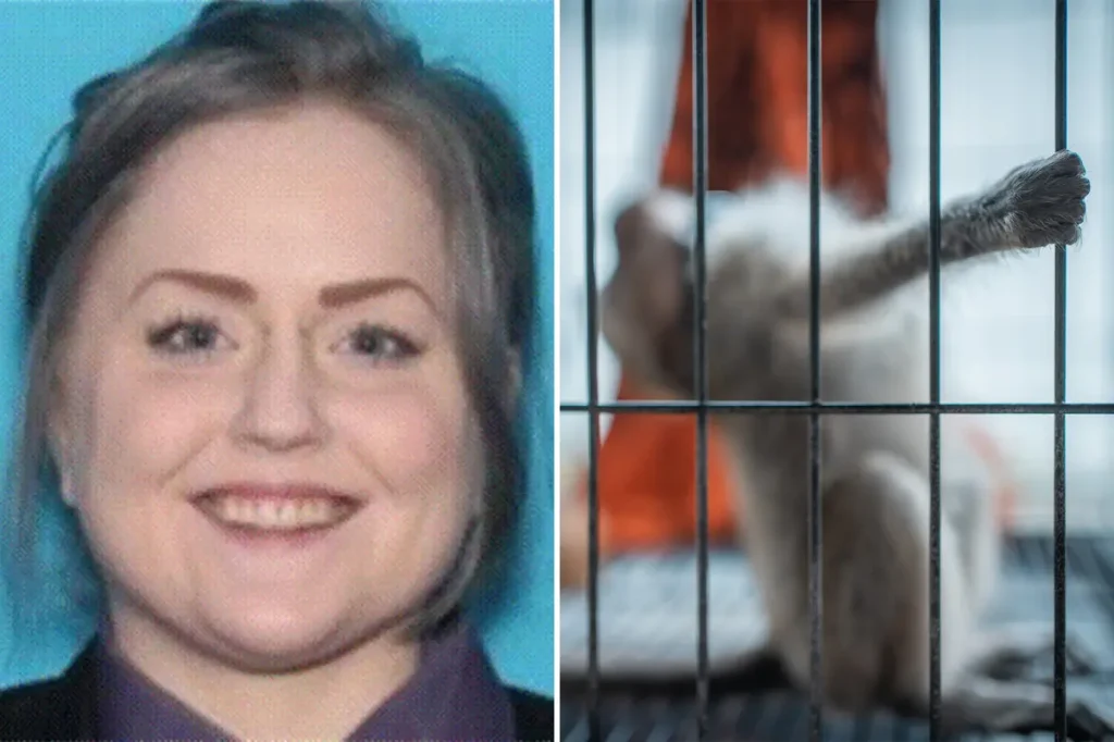 Woman Amanda Leigh Fourez from Illinois admits to financing monkey fetish videos.