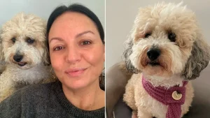 Woman’s dog diagnosed with breast cancer years after her own struggle