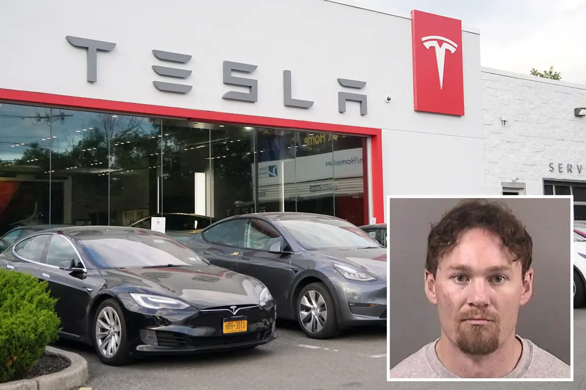 Yale graduate with a shotgun causes chaos in a Bay Area Tesla store