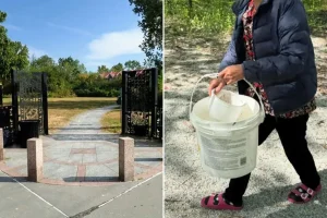 You won't expect the actions of rule-breakers at Powell's Cove Park.