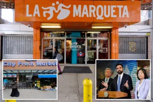 Zohran Mamdani's grocery store in New York City would rival the already budget-friendly supermarkets in Harlem.