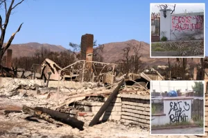 vandals deface homes in Pacific Palisades affected by wildfire while rebuilding efforts slow down